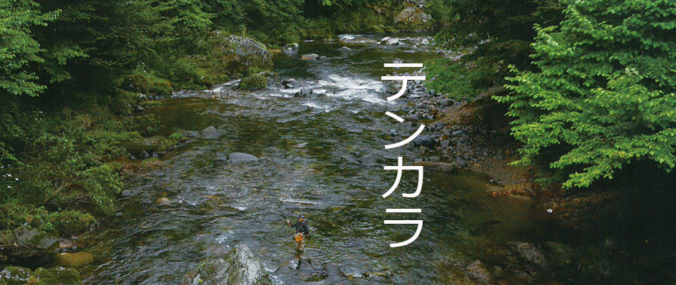 16320円 13周年記念イベントが Daiwa EXPERT本流 釣り竿 釣り フィッシング