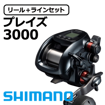 プレイズ3000