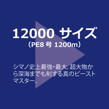 12000