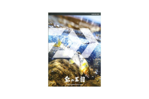 2026年ダイワ鮎カタログ・アユイングカタログ