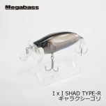 メガバス　アイバイアイシャッド タイプR　I x I SHAD TYPE-R　ギャラクシーゴリ