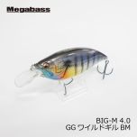 メガバス　アイバイアイシャッド タイプ3　I x I SHAD TYPE-3　シークレットドライアイス　イマカツ　今江克隆　伊東由樹　シャッド　バスルアー　釣具　通販　FTO