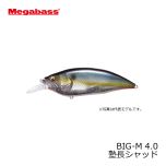メガバス　BIG-M 4.0　Mシャンパンキンクロ
