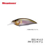 メガバス　BIG-M 4.0　PMセツキアユ