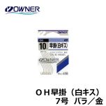 オーナー　ＯＨ早掛（白キス）　バラ　7号