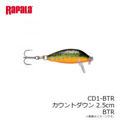 ラパラジャパン　CD1-BTR カウントダウン 2.5cm BTR