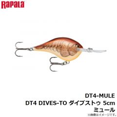 ラパラジャパン　DT4-MULE DT4 DIVES-TO ダイブストゥ 5cm ミュール