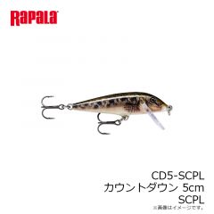 ラパラジャパン　CD5-SCPL カウントダウン 5cm SCPL
