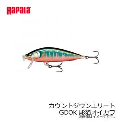 ラパラ　カウントダウンエリート　CDE75-GDOK 彫箔オイカワ