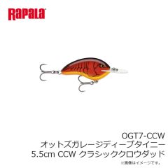 LSDデザイン　オーバーグラス Type5 ピアノブラック/グレーグリーン