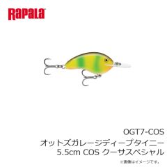 LSDデザイン　オーバーグラス Type5 ピアノブラック/グレーグリーン