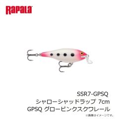 ラパラ　RSG-FC87GS Rapala サイトギア FCシリーズ 87GS  シャイニーブラック/グリーンスモーク
