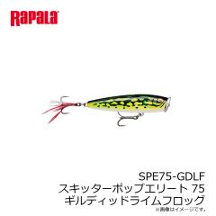 マドネスジャパン　コンバットフロッグ CF01 ジャングル