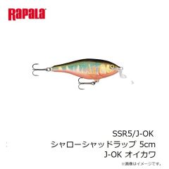 ラパラ　RSG-FC87GS Rapala サイトギア FCシリーズ 87GS  シャイニーブラック/グリーンスモーク