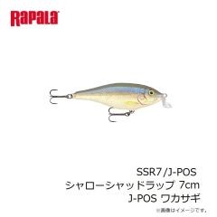 ラパラ　RSG-FC87GS Rapala サイトギア FCシリーズ 87GS  シャイニーブラック/グリーンスモーク