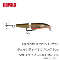 ラパラジャパン　SSR14-SPWR スーパーシャッドラップ 14cm SPWR スポーニングローチ