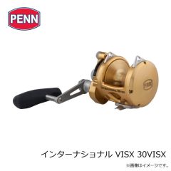 ペン　インターナショナル VISX 30VISX
