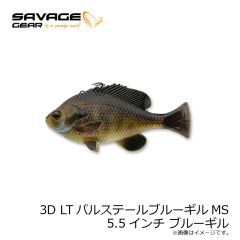 サベージギア　3D LTパルステールブルーギルMS 5.5インチ ブルーギル