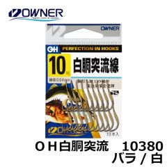 オーナー　10380　ＯＨ白胴突流線　バラ　10号
