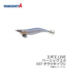 ヤマシタ　エギ王 LIVE 2.0 037 チラツキイワシ ナチュラル布 銀デザインホロ+490グロー