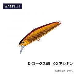 D-コークス65　02 アカキン
