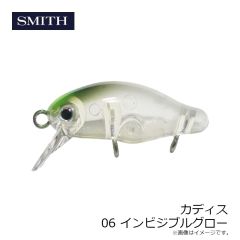 スミス　カディス 06 インビジブルグロー