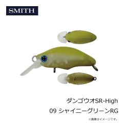 スミス　ダンゴウオSR-High 09 シャイニーグリーンRG