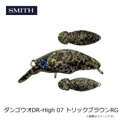 スミス　ダンゴウオDR-High 07 トリックブラウンRG
