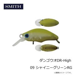 スミス　ダンゴウオDR-High 09 シャイニーグリーンRG