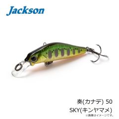 ジャクソン　奏(カナデ) 50 LYM(ヤマメ)