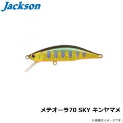 メテオーラ70 GDA ゴールドアユ
