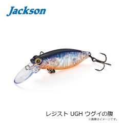 ジャクソン　レジスト CAK クリアーアカキン