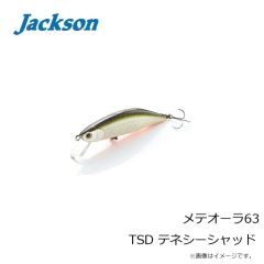 ジャクソン　メテオーラ63 TSD テネシーシャッド