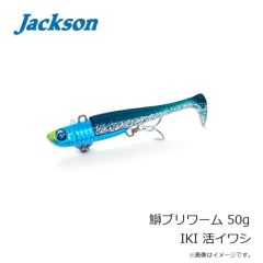 ジャクソン　フィネスヘッド+パワー 30g