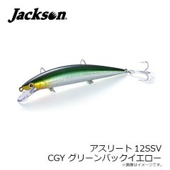 ダイワ　遡 フレイムホーク P-5 95M・E