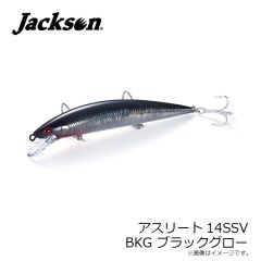 ダイワ　遡 フレイムホーク P-5 95M・E