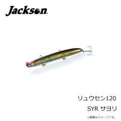 トップウォーター _ プラグ _ ルアー _ ソルトルアー