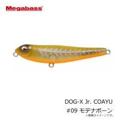 メガバス　Dr.ミノー ジョイント 5F 月下美人カスタム ホロ宵シラス