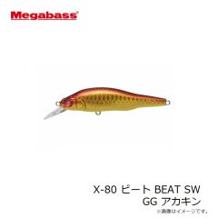 メガバス　X-80マグナム  (SP-C) HT マイワシ
