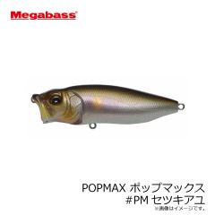 メガバス　POPMAX ポップマックス #GGバス