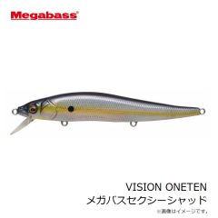 メガバス　X-80 MAGNUM (SP-C) どチャートコノシロ