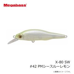 メガバス　X-80 SW #05 GGクルージングブルー