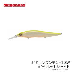 メガバス　ビジョンワンテン+1 SW #GG イワシ