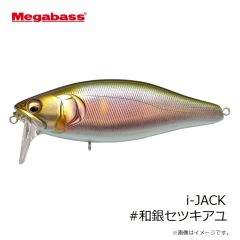 メガバス　i-WING TRIPLE FRY アイウィング・トリプルフライ マットタイガー CT