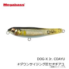 メガバス　Dr.ミノー ジョイント 5F 月下美人カスタム ホロ宵シラス