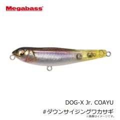 
メガバス　DOG-X Jr. COAYU ドッグX Jr コアユ #ダウンサイジングワカサギ
