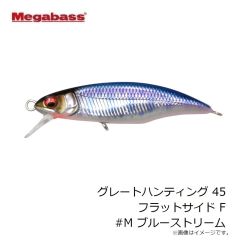 ガラパゴス　Gaメタルジグショート 180g #19 ゼブラチャート