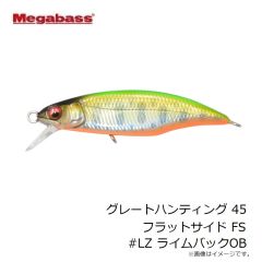 ガラパゴス　Gaメタルジグショート 180g #19 ゼブラチャート