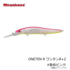 メガバス　ONETEN R ワンテンR+1 #AL琵琶湖アユ