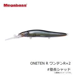 メガバス　ONETEN R ワンテンR+2 #塾長シャッド